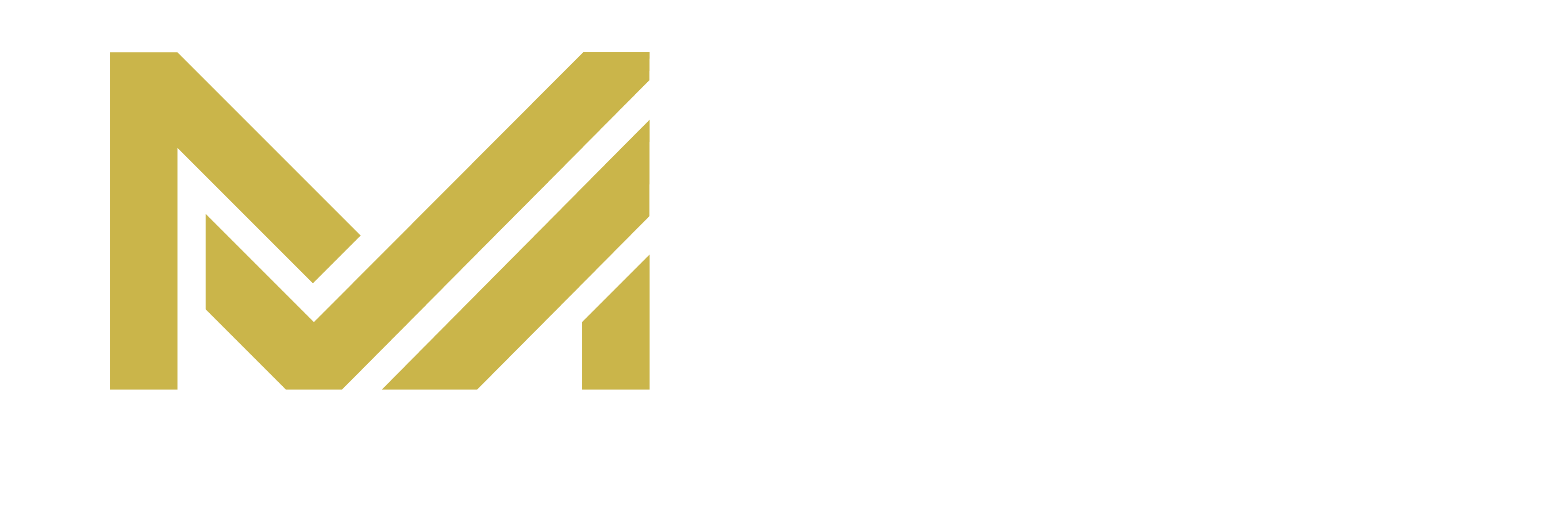 Prof. Diogo Moreira